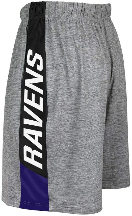 Zubaz NFL Football Men's Baltimore Ravens Tonal Gray Space Dye W/Solid Stripe Shorts - Image 2