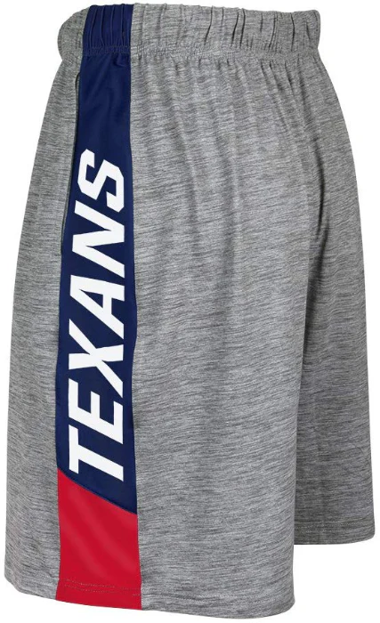 Zubaz NFL Football Men's Houston Texans Tonal Gray Space Dye W/Solid Stripe Shorts - Image 2