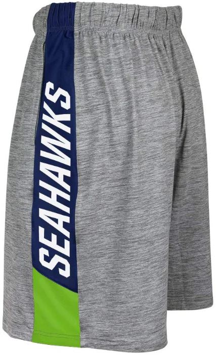 Zubaz NFL Football Men's Seattle Seahawks Tonal Gray Space Dye W/Solid Stripe Shorts - Image 2