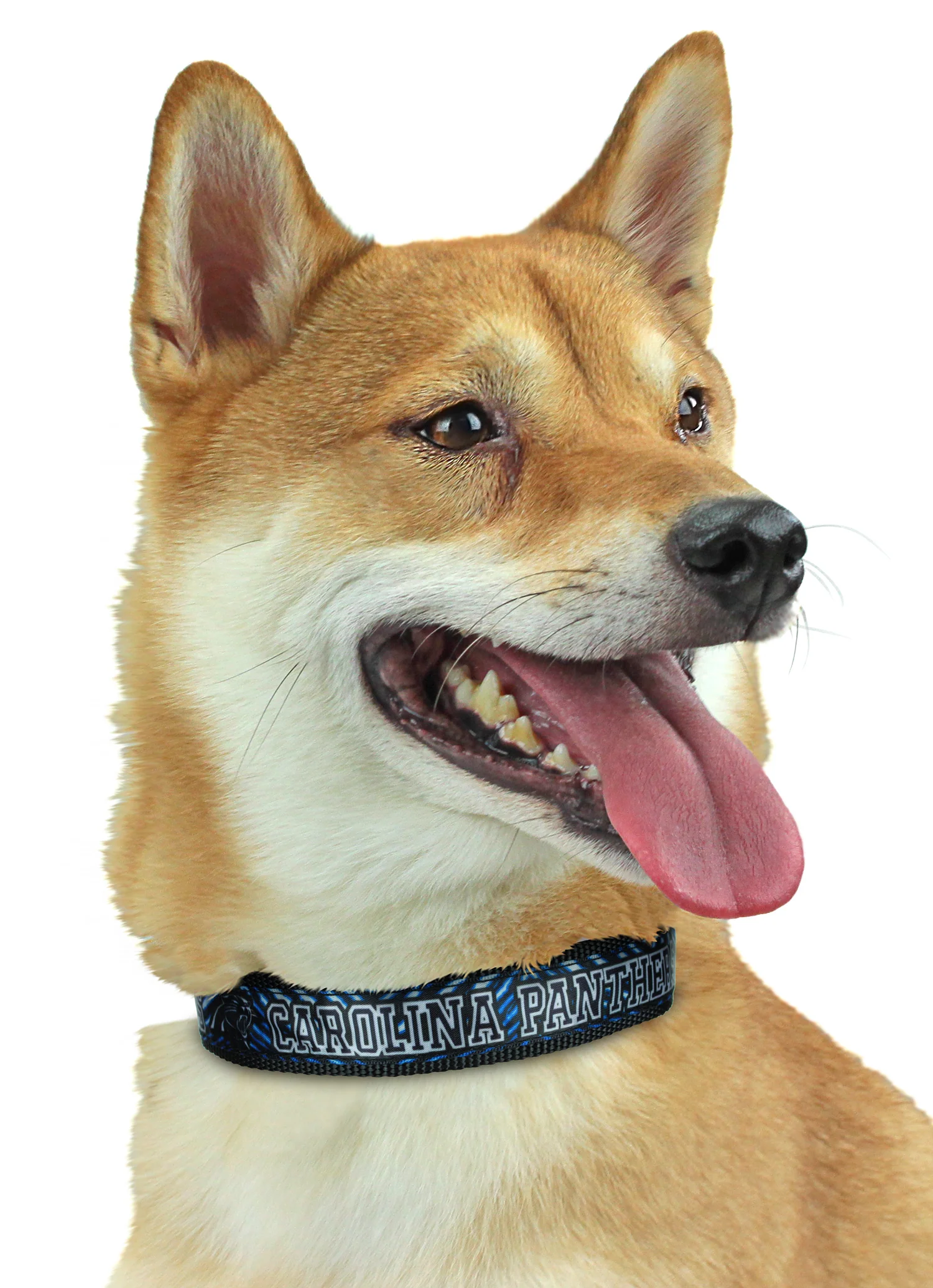 Zubaz X Pets First NFL Carolina Panthers Team Adjustable Dog Collar - Image 2