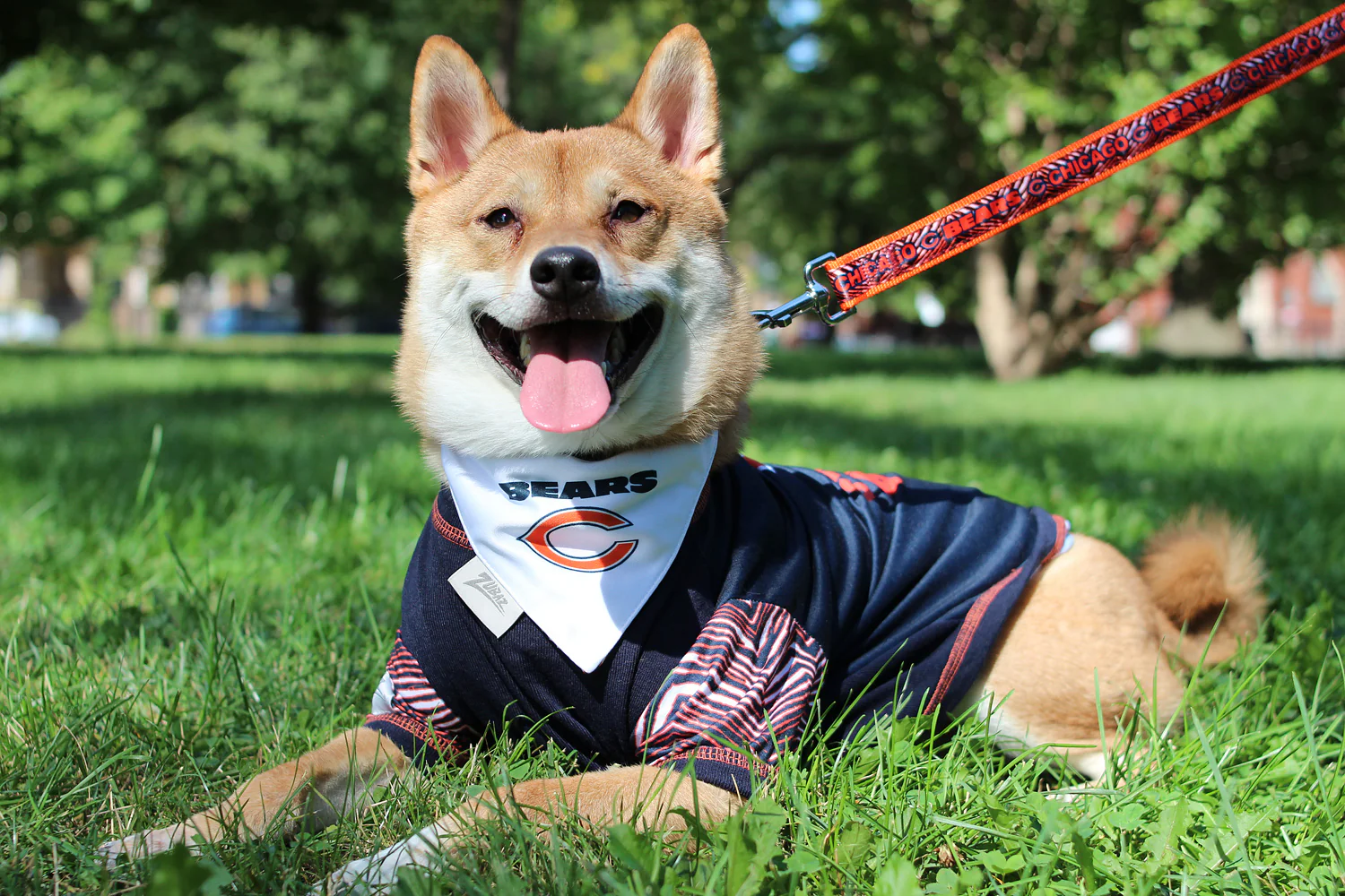 Zubaz X Pets First NFL Chicago Bears Team Logo Leash For Dogs - Image 3