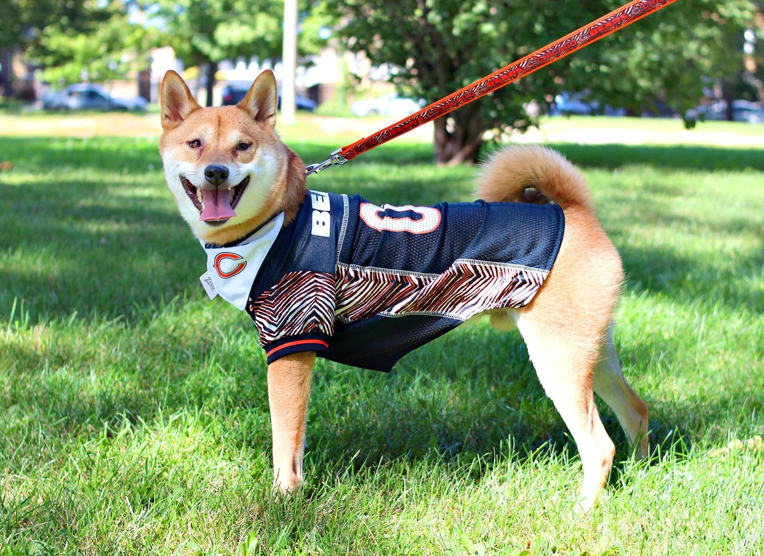 Zubaz X Pets First NFL Chicago Bears Team Pet Jersey For Dogs - Image 5