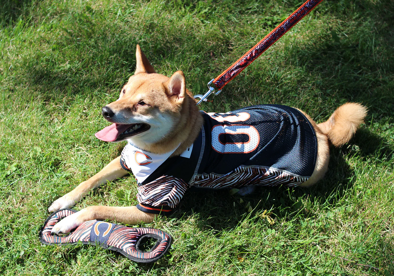Zubaz X Pets First NFL Denver Broncos Team Logo Dog Tug Toy with Squeaker - Image 3