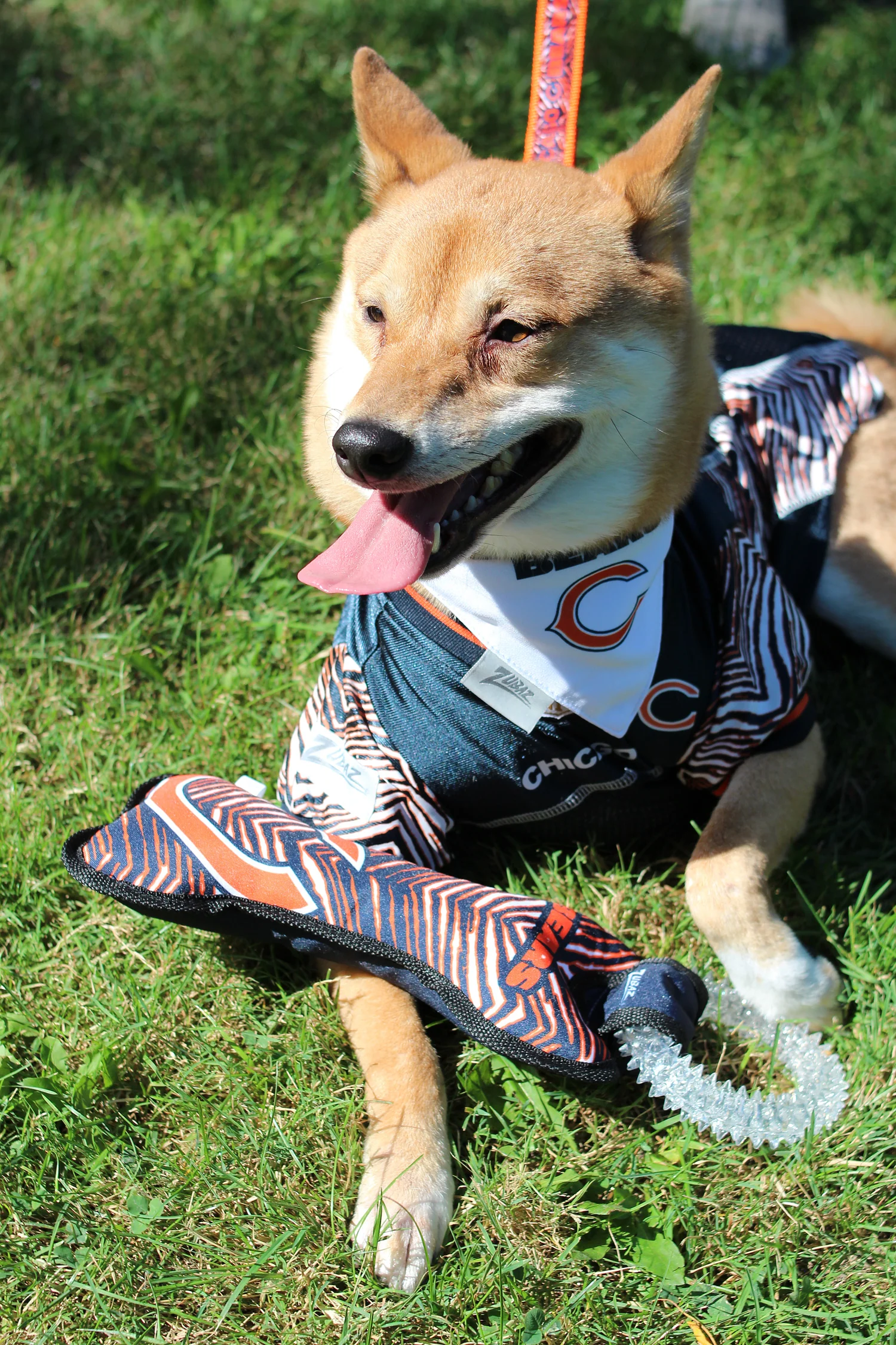 Zubaz X Pets First NFL Miami Dolphins Team Ring Tug Toy for Dogs - Image 3