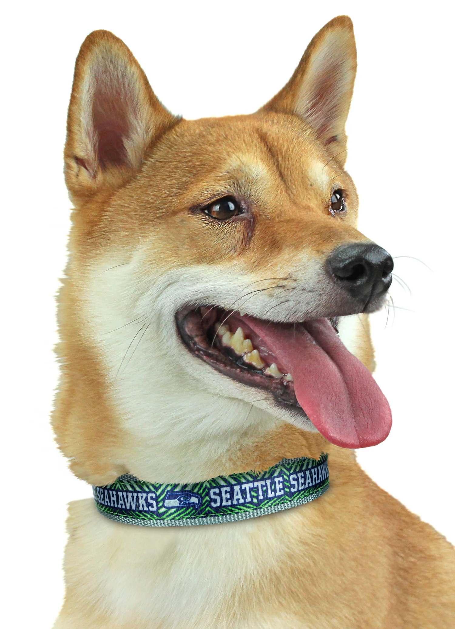 Zubaz X Pets First NFL Seattle Seahawks Team Adjustable Dog Collar - Image 4
