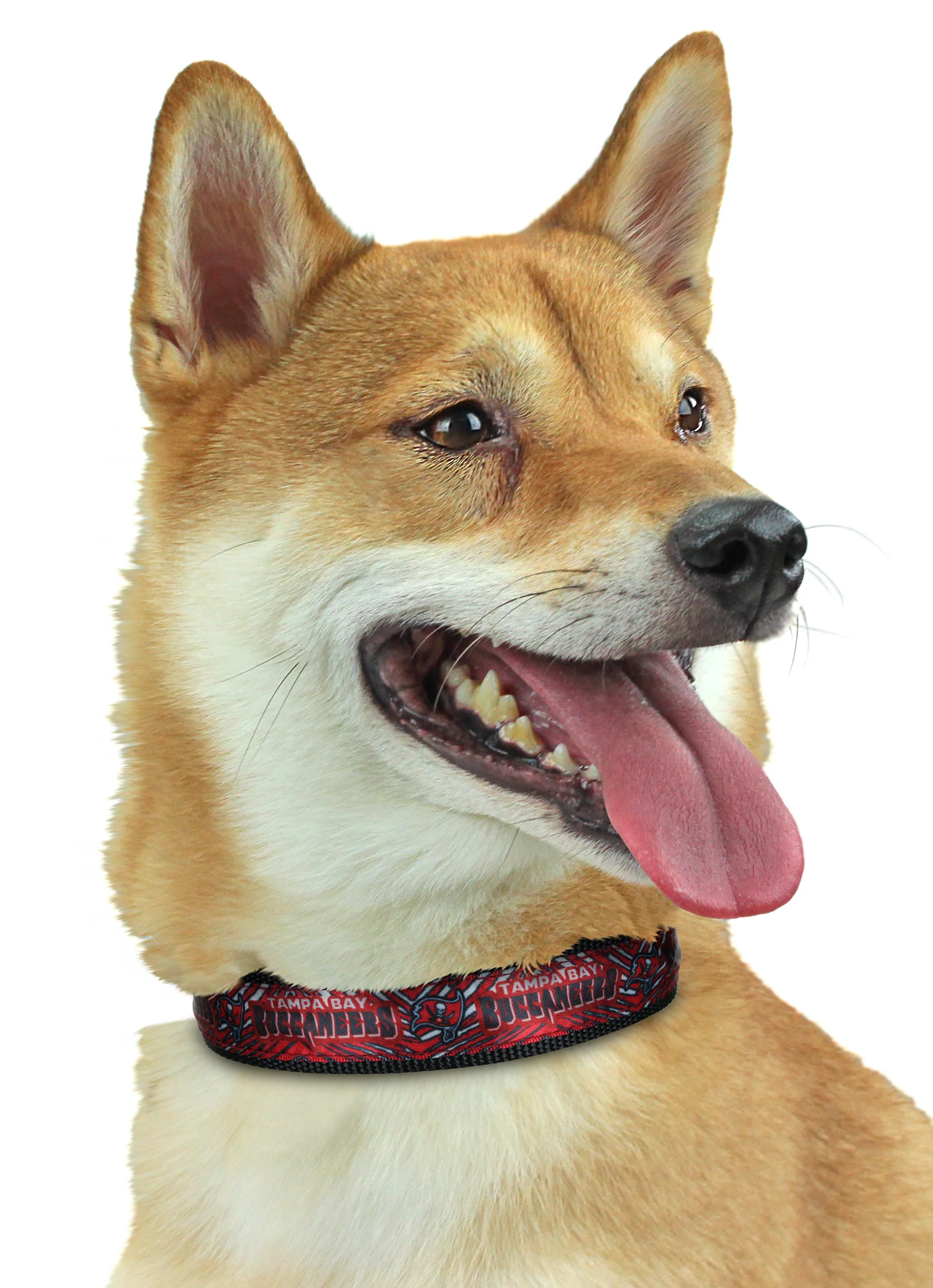 Zubaz X Pets First NFL Tampa Bay Buccaneers Team Adjustable Dog Collar - Image 2