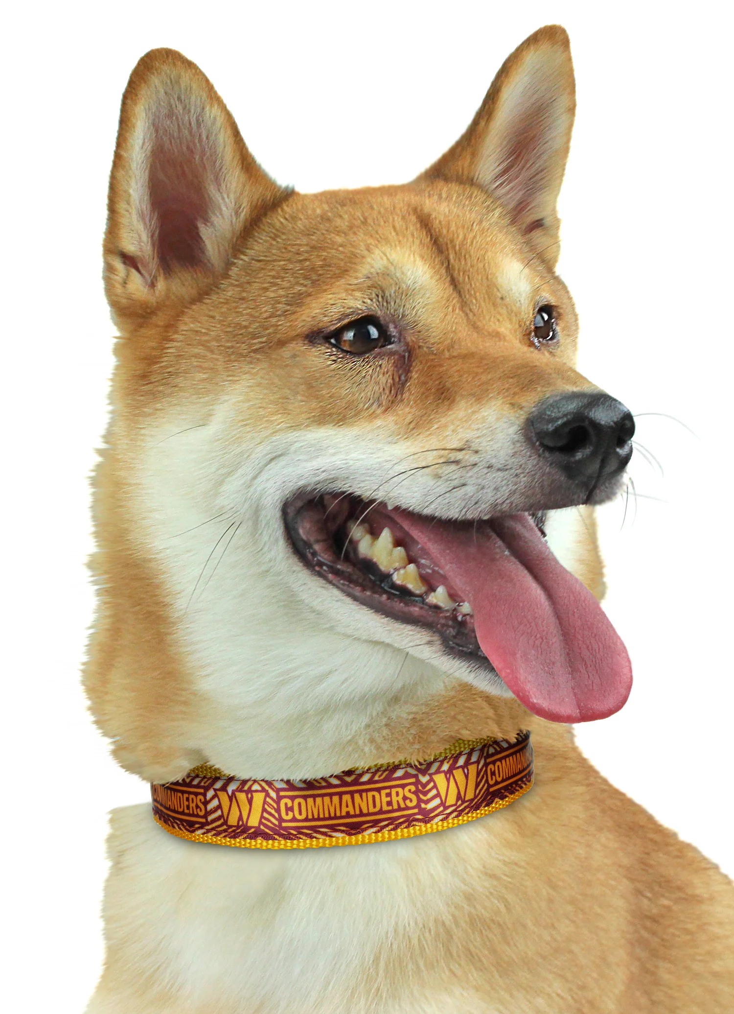 Zubaz X Pets First NFL Washington Commanders Team Adjustable Dog Collar - Image 2